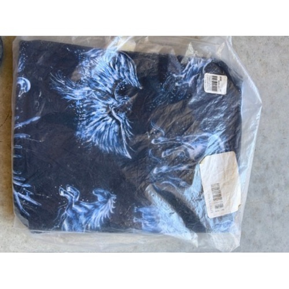 Pottery Barn Teen Glow-in-the-Dark Pegasus Queen Flat Sheet NEW